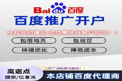 某电商平台的SEM广告投放策略及效果评估